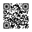 QR Code (код быстрого отклика)