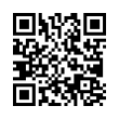 QR Code (код быстрого отклика)