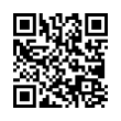 QR Code (код быстрого отклика)