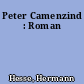 Peter Camenzind : Roman