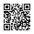 QR Code (код быстрого отклика)