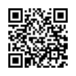 QR Code (код быстрого отклика)