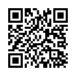 QR Code (код быстрого отклика)