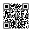 QR Code (код быстрого отклика)