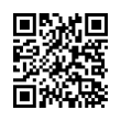 QR Code (код быстрого отклика)