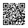 QR Code (код быстрого отклика)